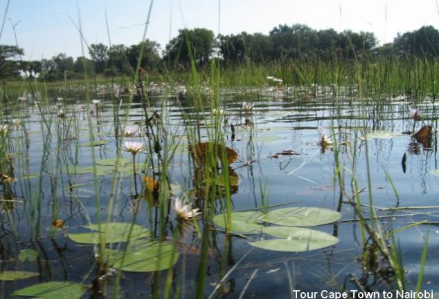 Botswana mit seinem Okavangodelta