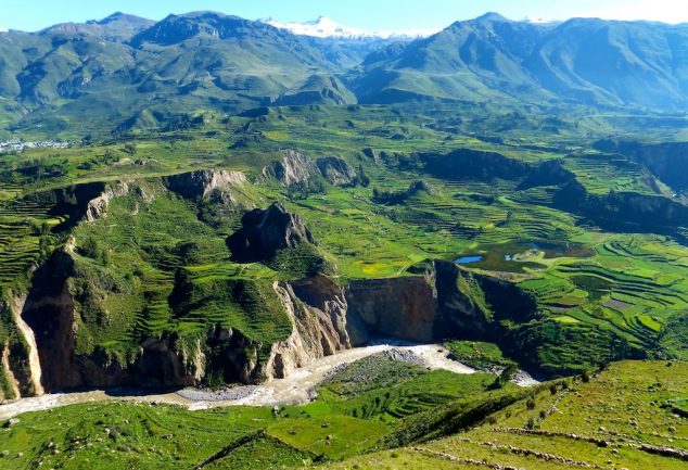 colca_canyon_peru_013