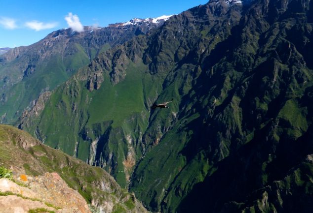 colca_canyon_peru_027