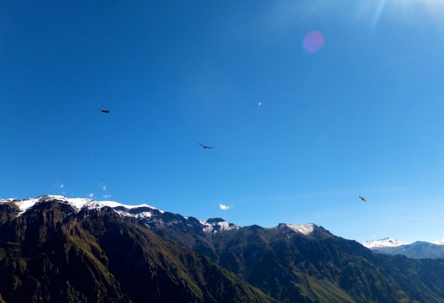 colca_canyon_peru_032