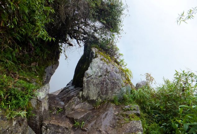 machu_pichu_peru_042