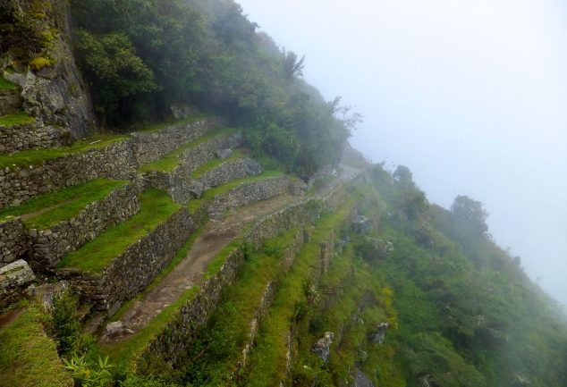 machu_pichu_peru_045