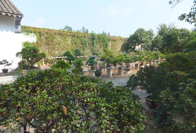 Humble Administrator´s Garden in Suzhou