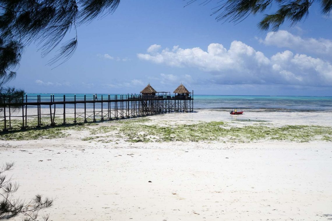 Die Jetty Bar des Spice Island Hotel & Resort