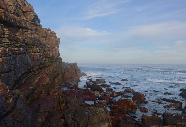 cape_peninsula_tour_2015_052