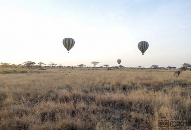 Serengeti Safari Tour in Tansania