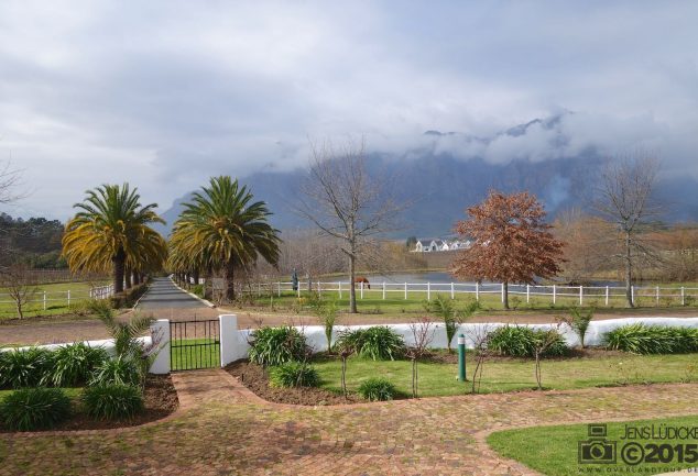 Winetasting at the Winelands