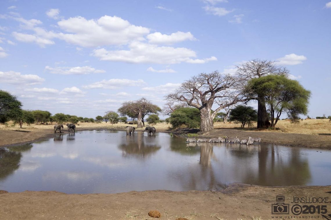 Tarangire Nationalpark