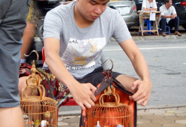 Das Zwitschern am See „Thien Quang Lake“ in Hanoi