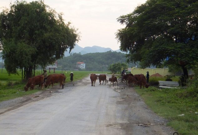 road_trip_part_1_north_vietnam_014