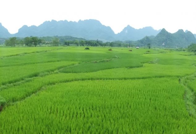 road_trip_part_1_north_vietnam_021