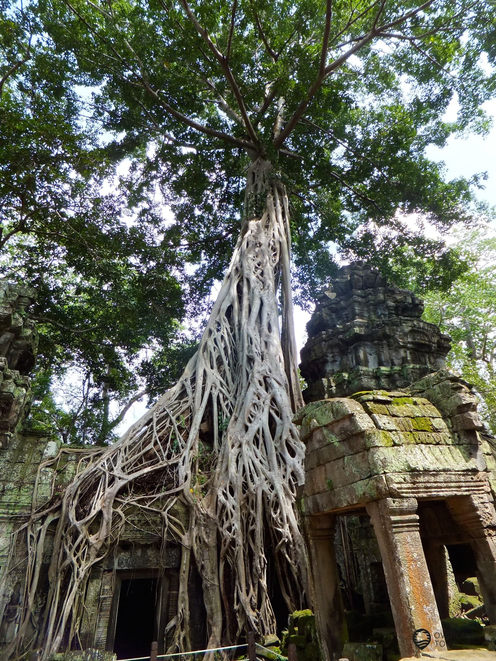 Die Ruinen von Angkor Wat