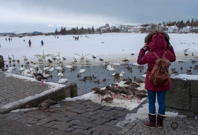 Reykjavik - Island