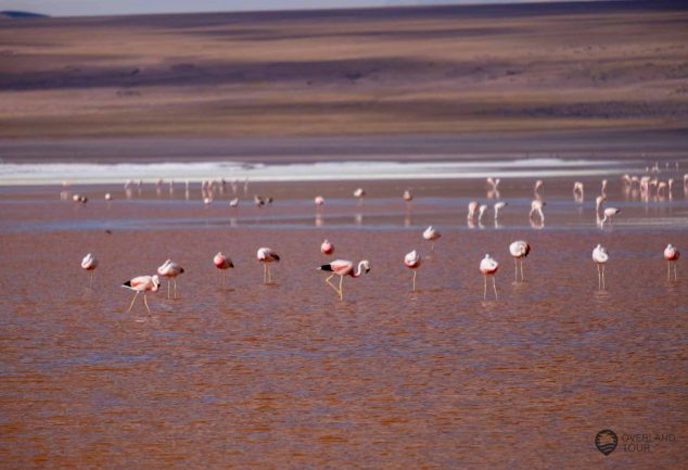 Mit dem Jeep über die Anden in Bolivien - Salar de Uyuni Tour