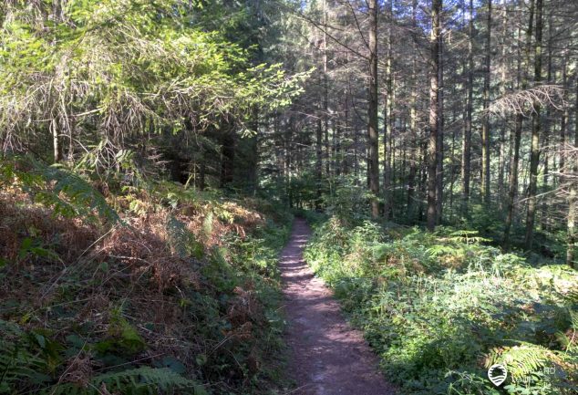 Saarschleife Mettlach – Die Tafeltour wandern inkl. Cloef Aussichtspunkt