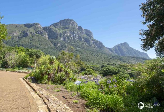 Botanischer Garten Kirstenbosch in Kapstadt