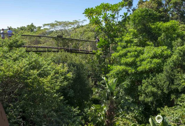 Botanischer Garten Kirstenbosch in Kapstadt