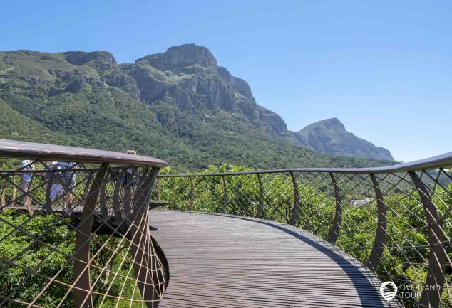 Botanischer Garten Kirstenbosch in Kapstadt