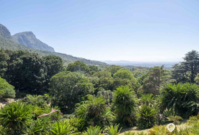 Botanischer Garten Kirstenbosch in Kapstadt