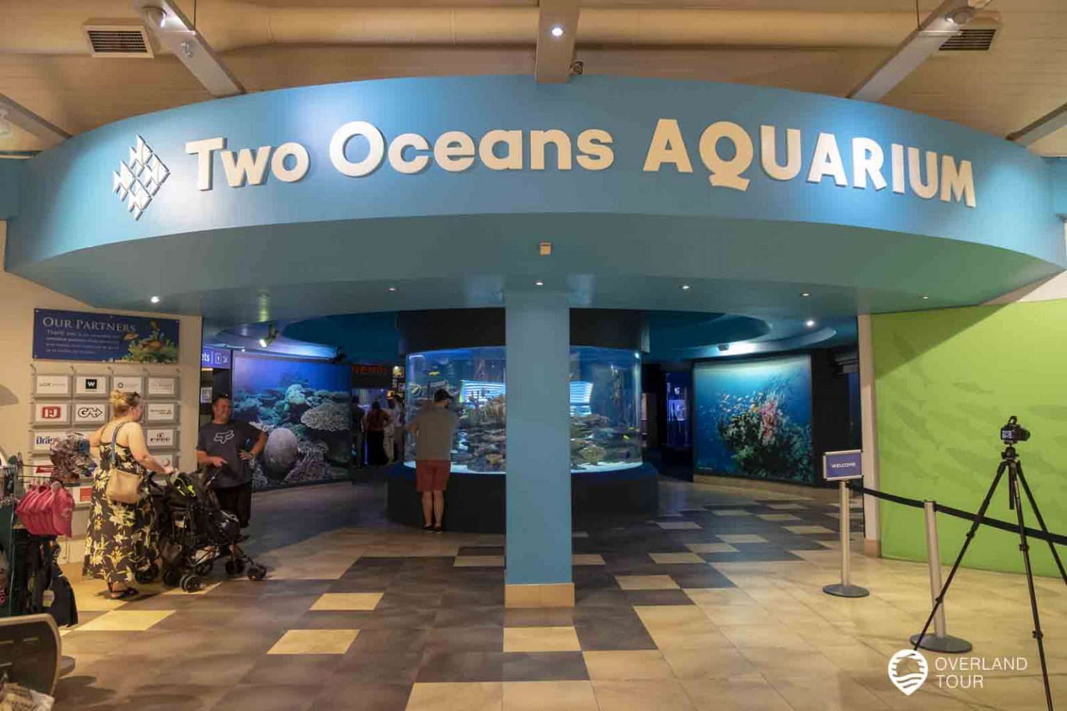 Two Oceans Aquarium Kapstadt 🐠 Erfahrungen, Infos, Tickets