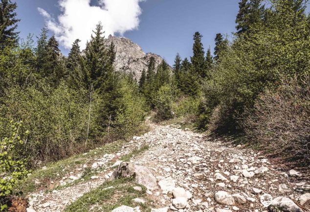 Mestia – Wandern in Swanetien inkl. Wehrtürme