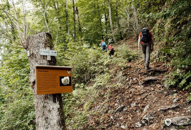 Wandern: DonauWelle Eichfelsen-Panorama – Donaubergland Wanderung