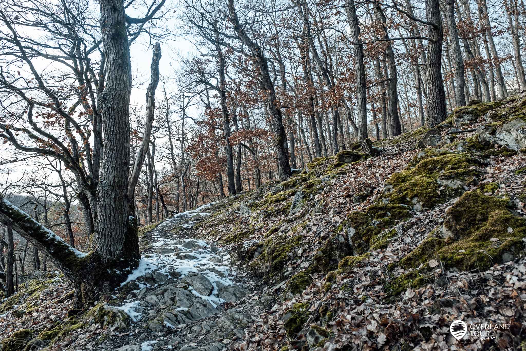 Wandern Loreley Extratour: Wanderung Am Rhein | Overlandtour