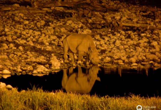 Camping Safari Südafrika: Tour Kapstadt – Victoria Falls