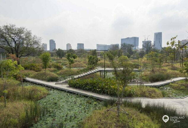 Entdecke die Oasen mitten in Bangkok: Green Mile - Benjakitti & Lumphini Park