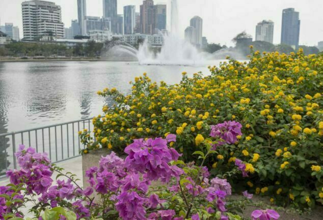 Entdecke die Oasen mitten in Bangkok: Green Mile - Benjakitti & Lumphini Park