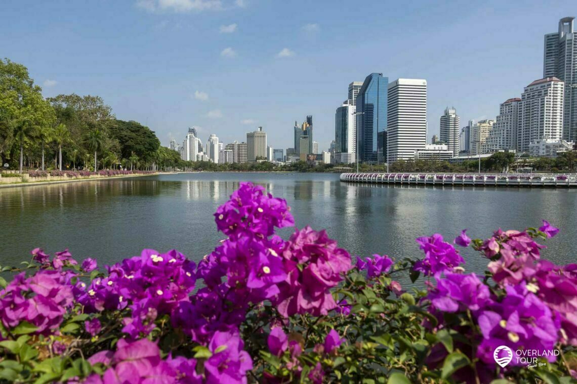 Entdecke die Oasen mitten in Bangkok: Green Mile - Benjakitti & Lumphini Park: Einmal um den See vom Benjakiti Park herum