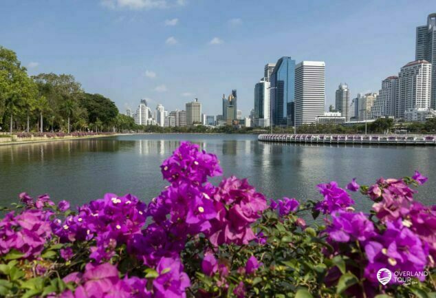 Entdecke die Oasen mitten in Bangkok: Green Mile - Benjakitti & Lumphini Park