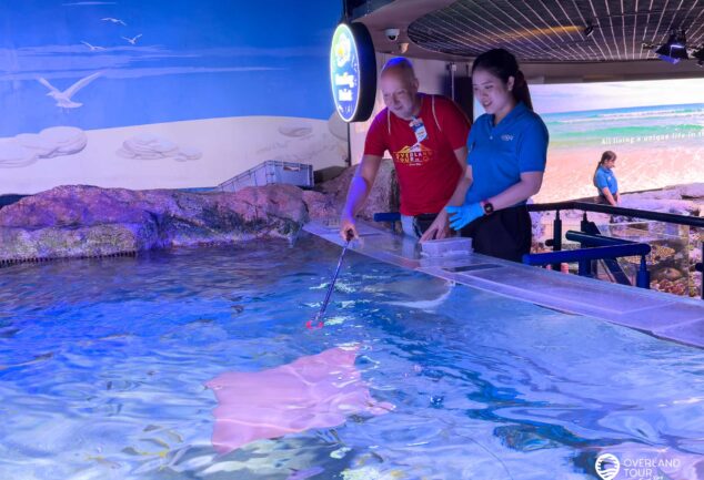 SEA LIFE Bangkok Ocean World - Unterwasser in der thailändischen Hauptstadt