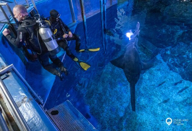 SEA LIFE Bangkok Ocean World - Unterwasser in der thailändischen Hauptstadt