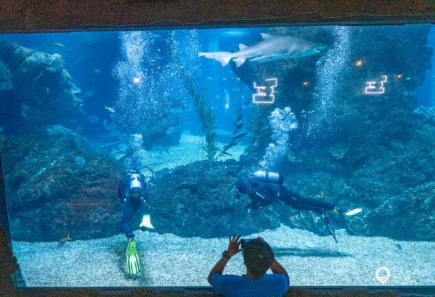 SEA LIFE Bangkok Ocean World - Unterwasser in der thailändischen Hauptstadt